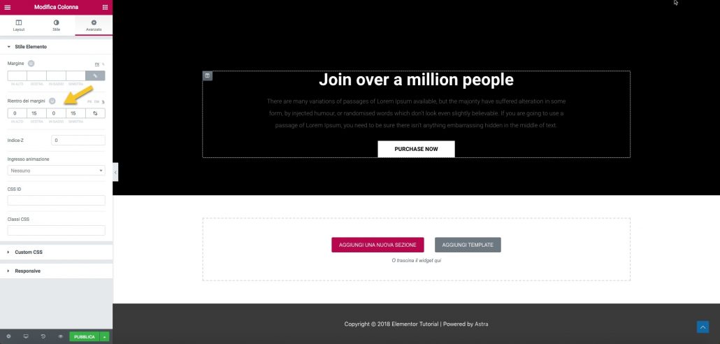 Elementor setting modulo