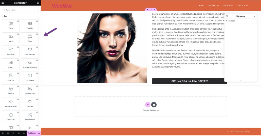 Elementor Pro attivazione wiedget