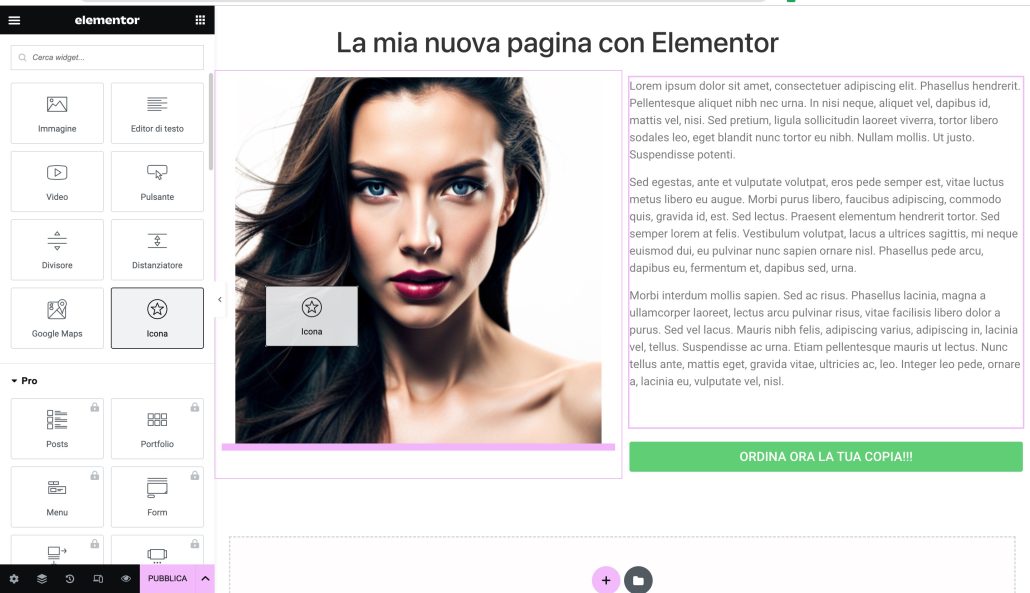 Elementor drag and drop editor